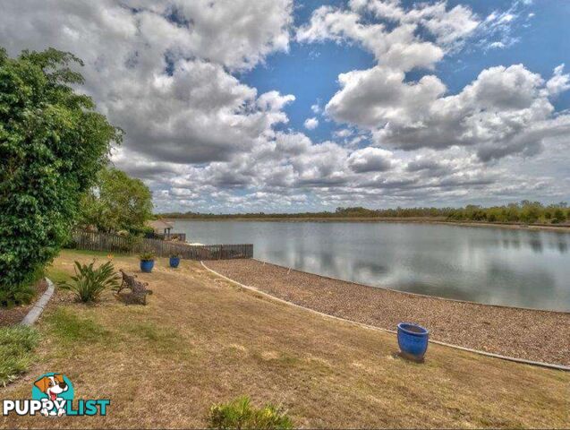 22 Spoonbill Way ELI WATERS QLD 4655