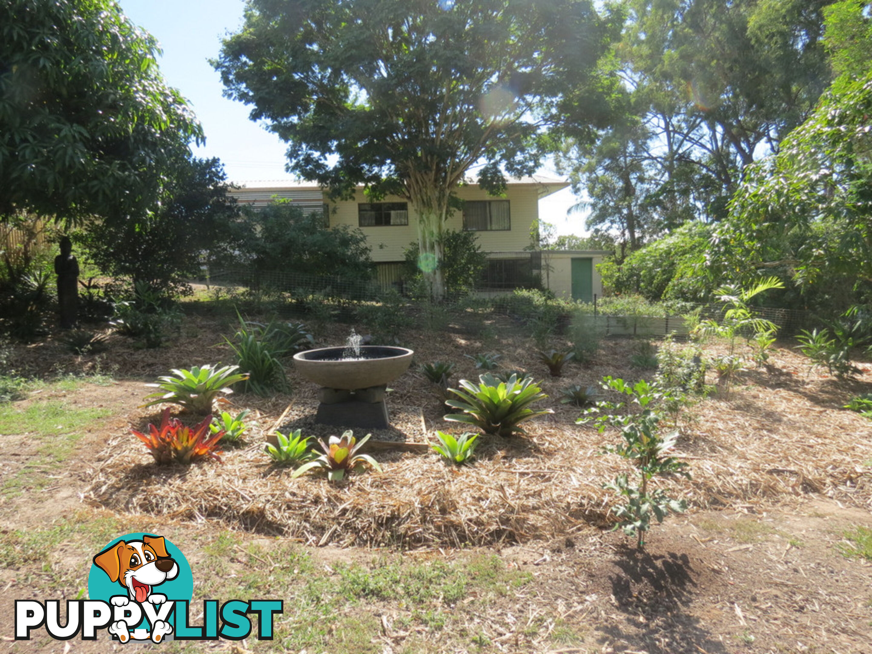 4 Barry Street TORQUAY QLD 4655