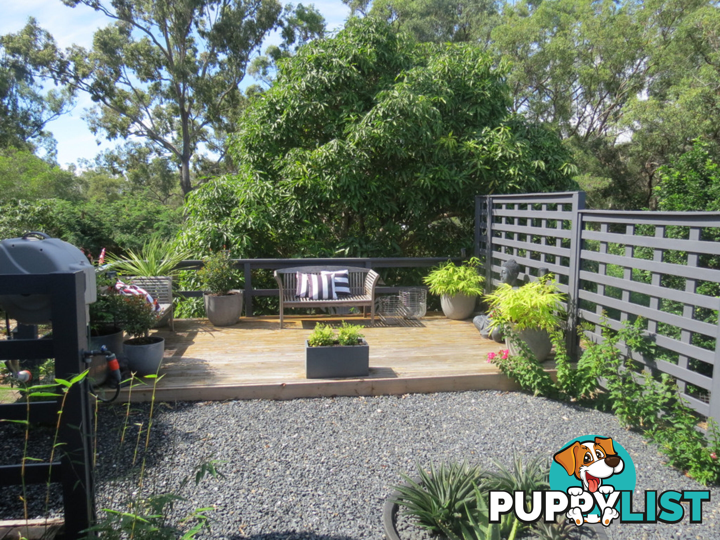 4 Barry Street TORQUAY QLD 4655