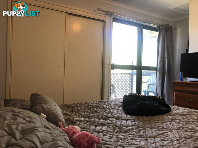 2/10 Denmans Camp Road TORQUAY QLD 4655