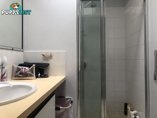 2/10 Denmans Camp Road TORQUAY QLD 4655