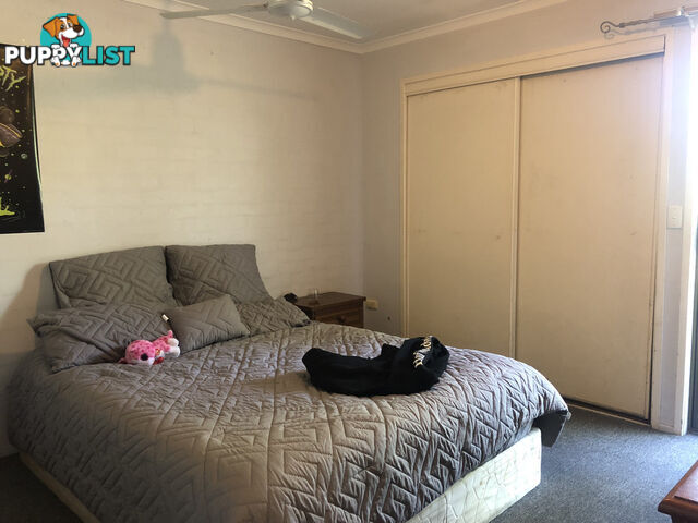 2/10 Denmans Camp Road TORQUAY QLD 4655