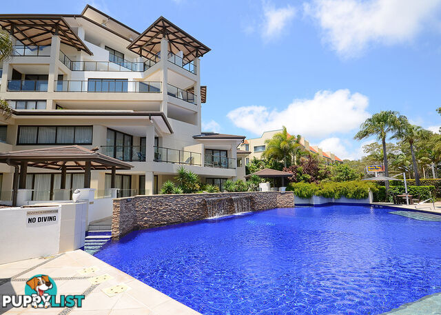 303/468 Esplanade TORQUAY QLD 4655