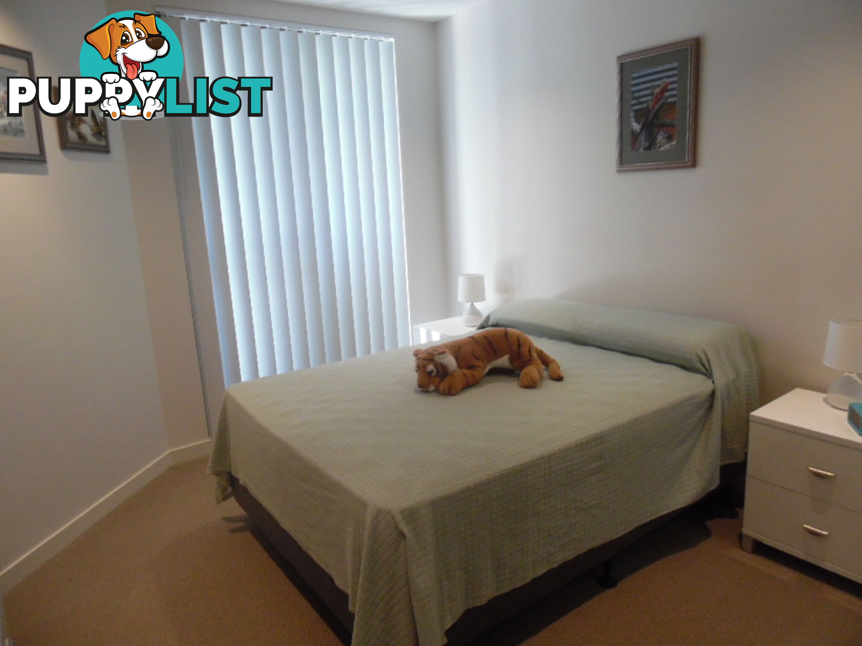 303/468 Esplanade TORQUAY QLD 4655