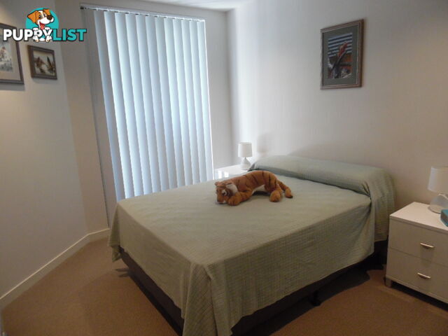 303/468 Esplanade TORQUAY QLD 4655