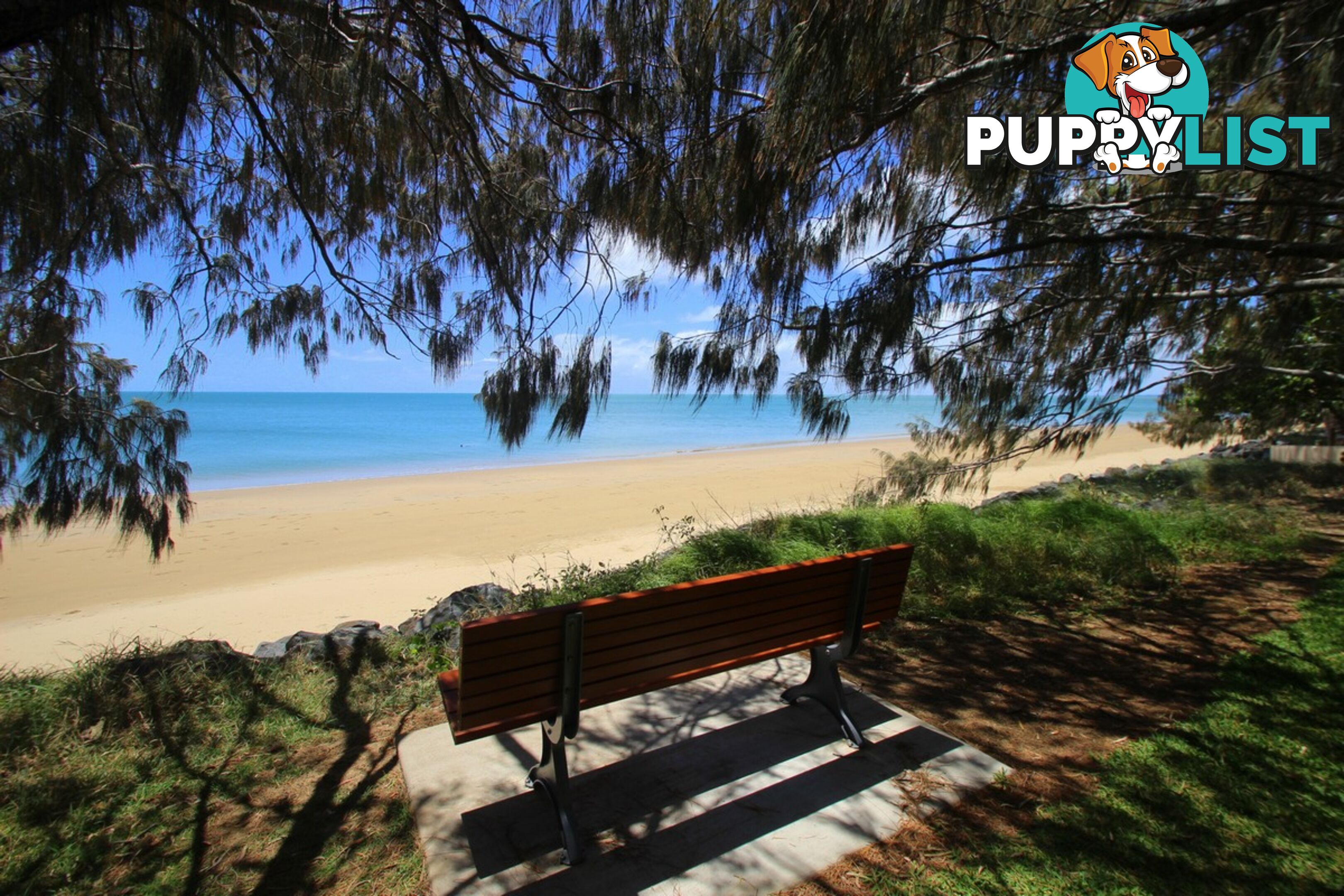 303/468 Esplanade TORQUAY QLD 4655