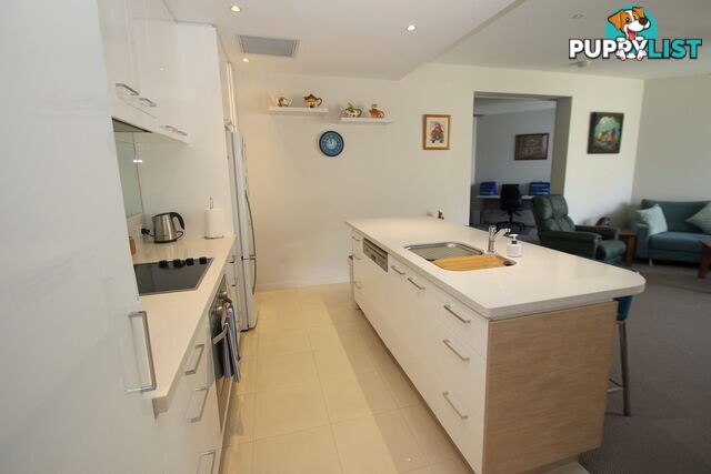 303/468 Esplanade TORQUAY QLD 4655