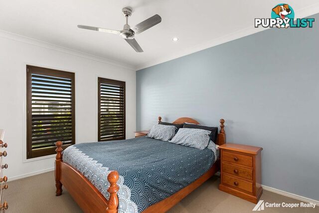 59 Royal Drive KAWUNGAN QLD 4655