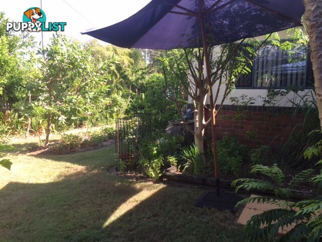 120/34 Elizabeth Street URANGAN QLD 4655