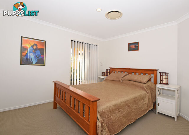 6 Glengarry Court KAWUNGAN QLD 4655