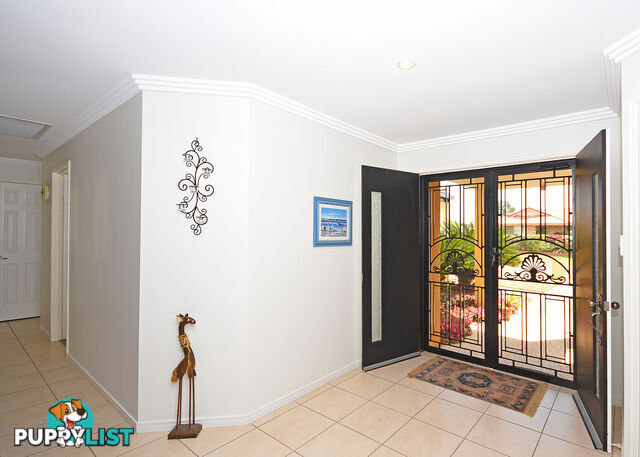 6 Glengarry Court KAWUNGAN QLD 4655