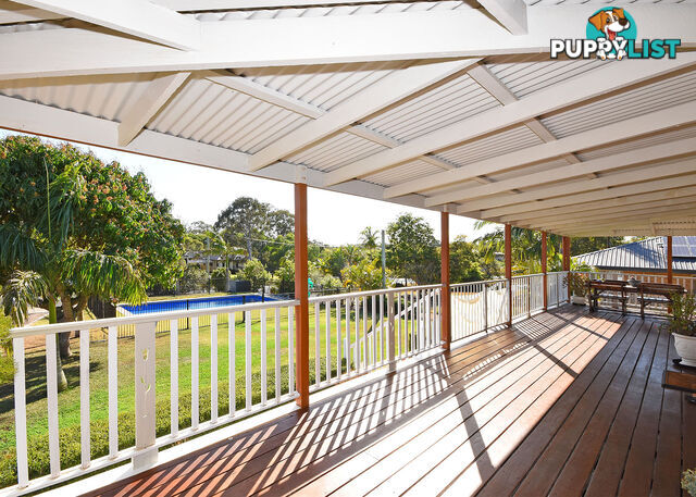 8 Henks Court CRAIGNISH QLD 4655