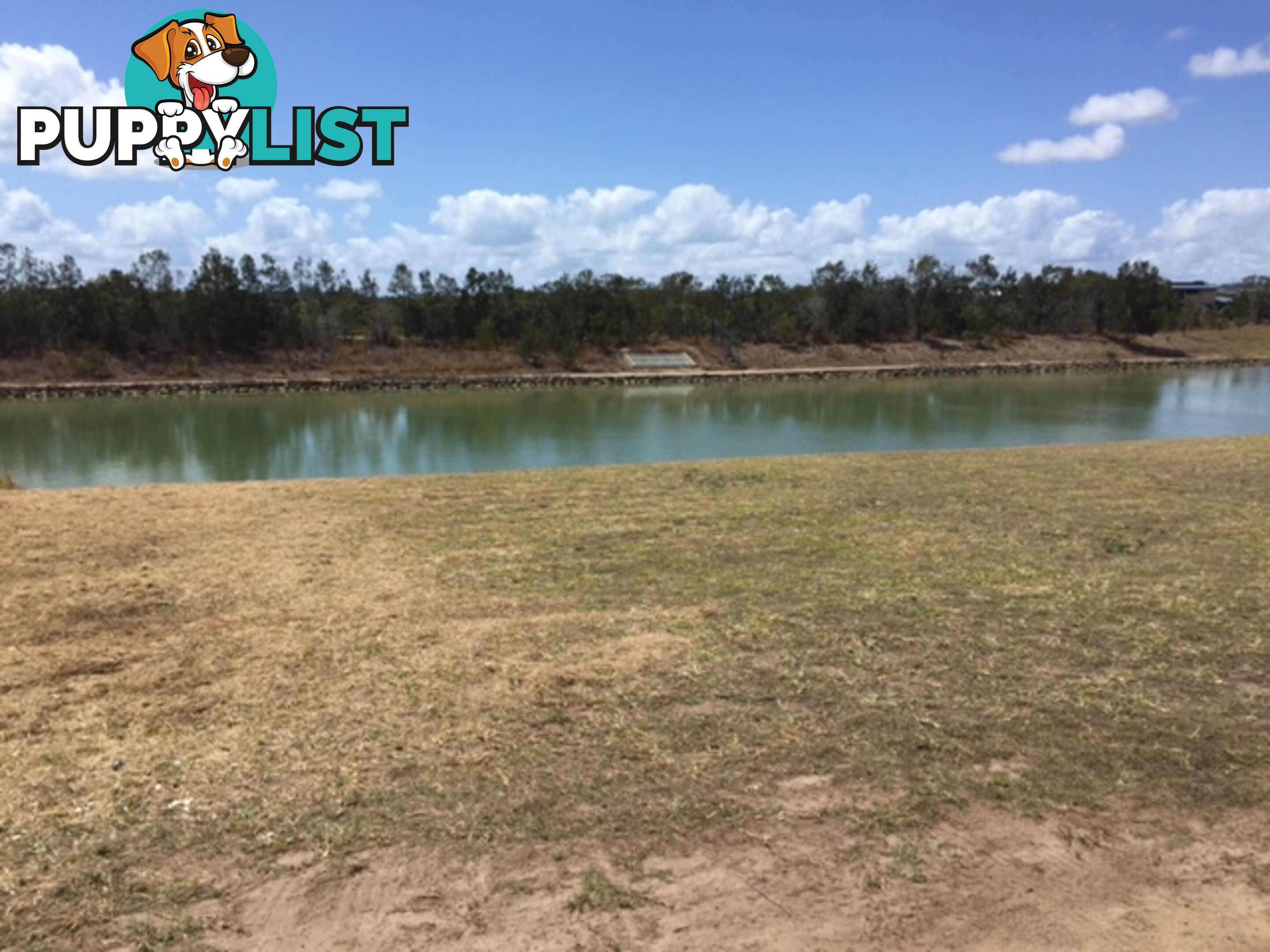 00 Kirra Court ELI WATERS QLD 4655