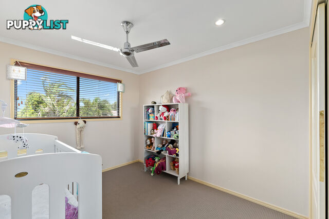 21 Faye Avenue SCARNESS QLD 4655