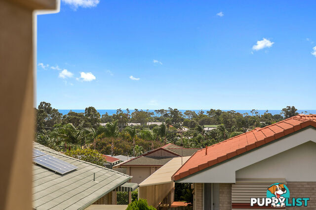 21 Faye Avenue SCARNESS QLD 4655