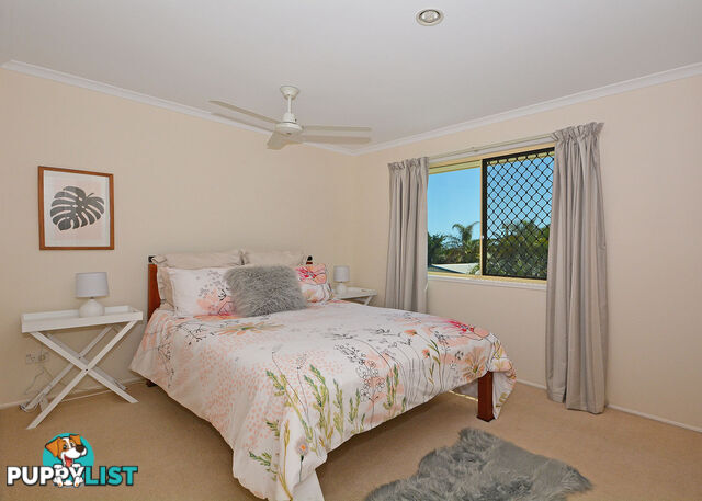 42 Vanda Street URANGAN QLD 4655