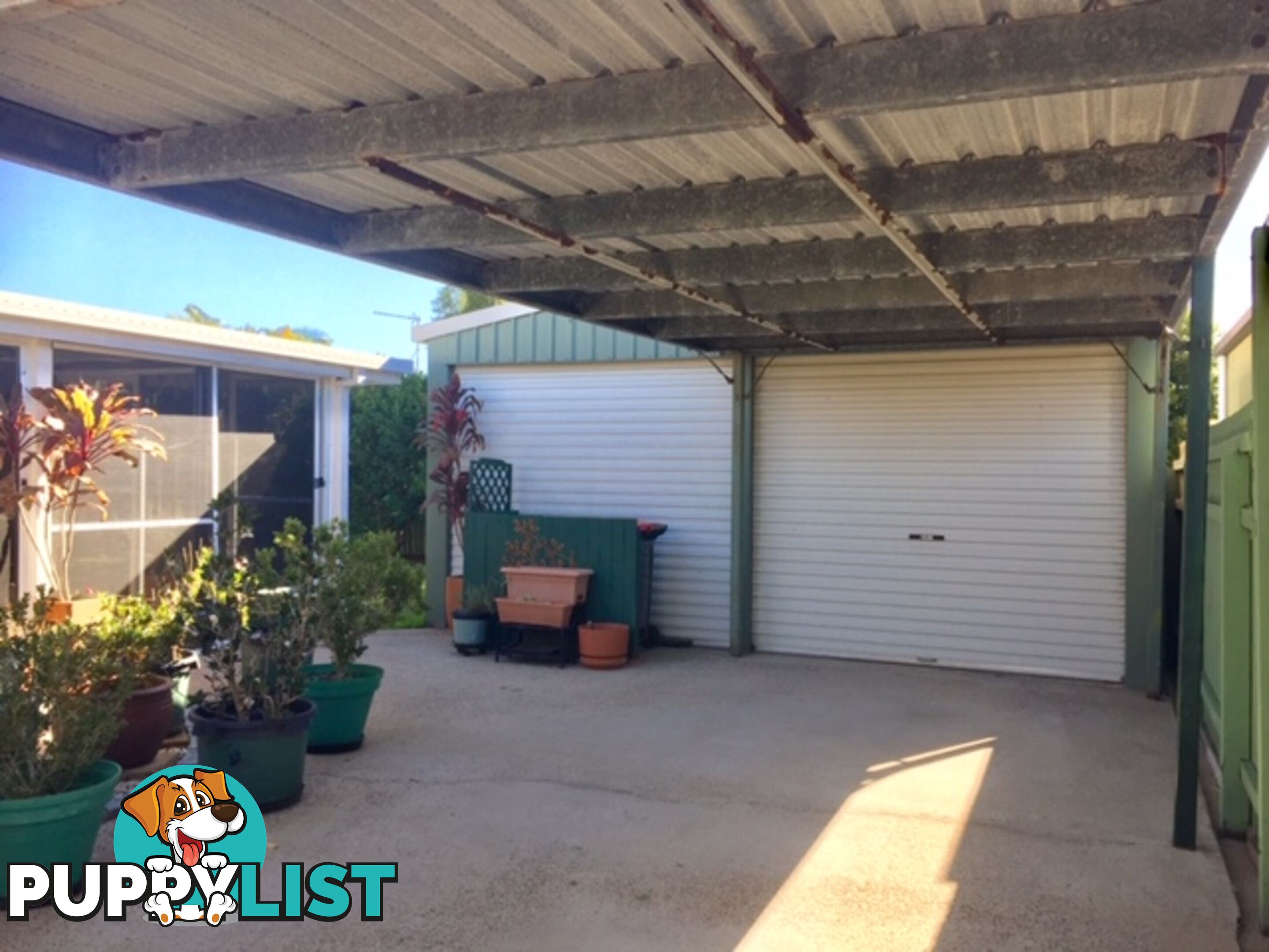 38 Wonga Street SCARNESS QLD 4655