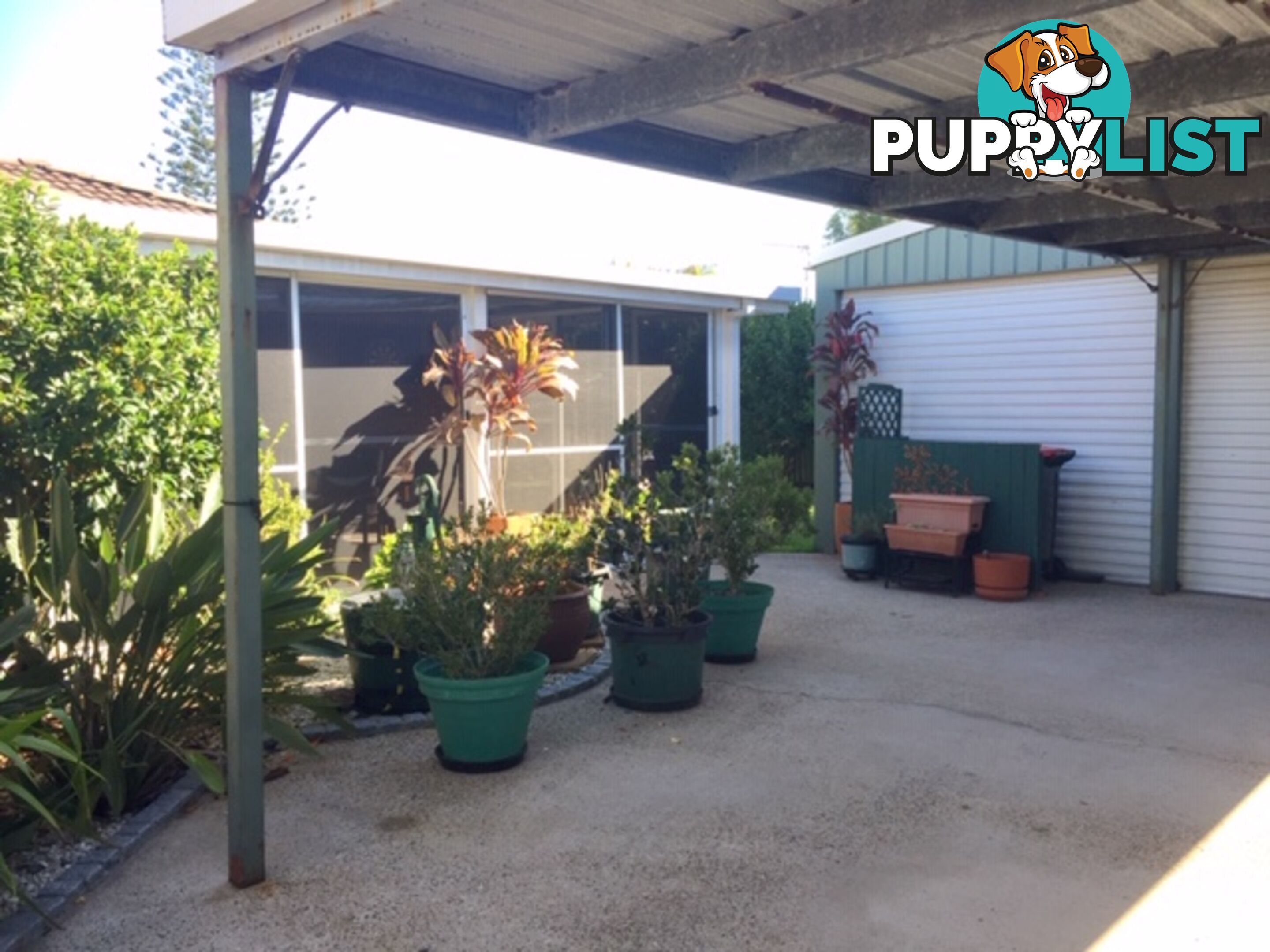 38 Wonga Street SCARNESS QLD 4655