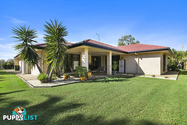 81 Washington drive WONDUNNA QLD 4655