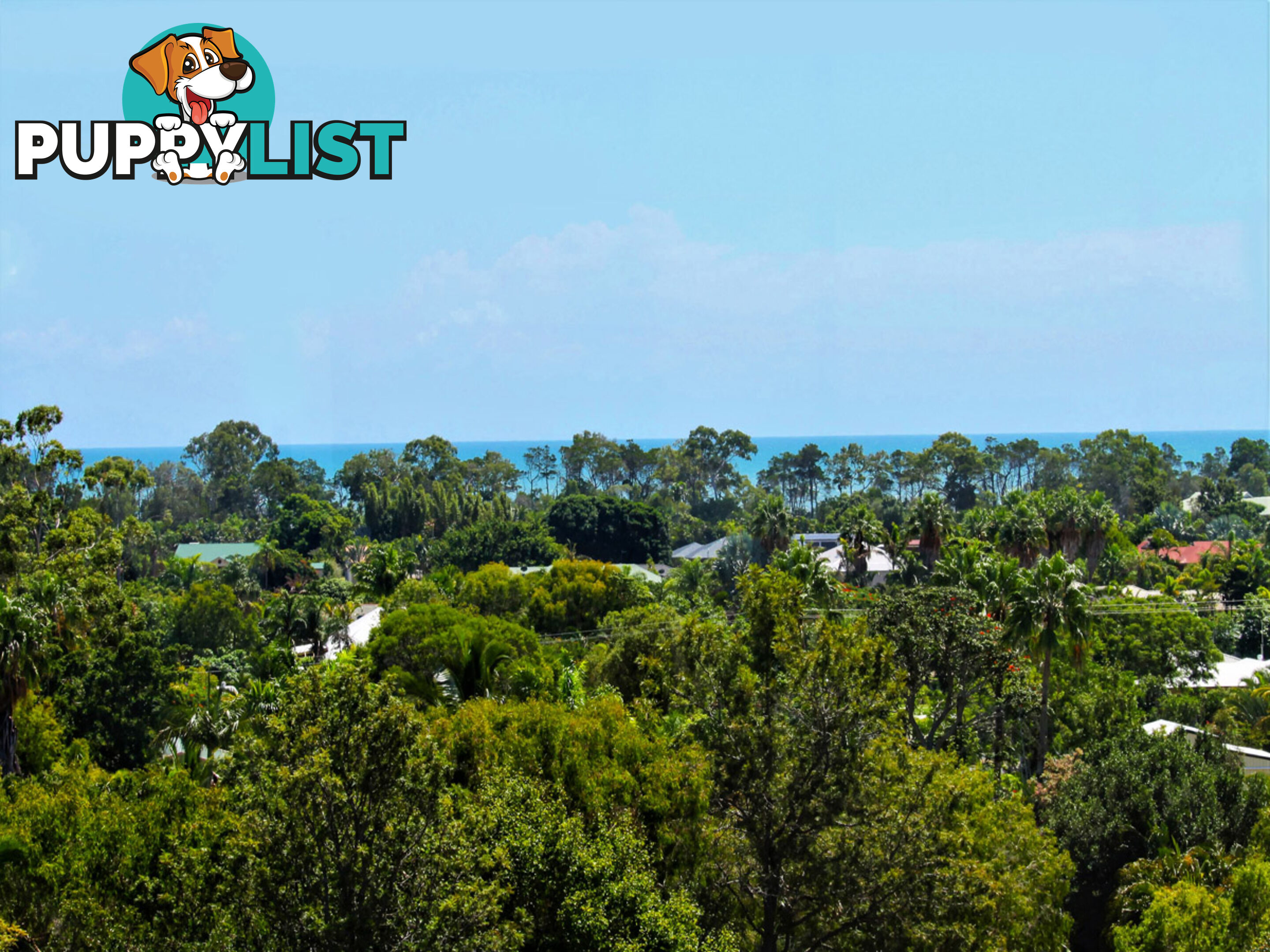 17 Azure Court DUNDOWRAN BEACH QLD 4655