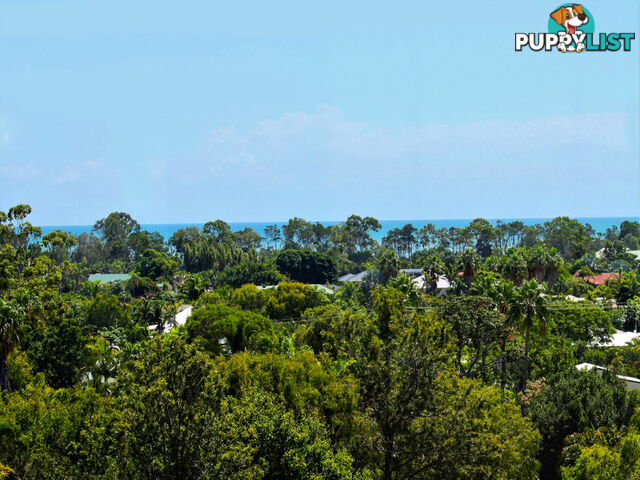 17 Azure Court DUNDOWRAN BEACH QLD 4655