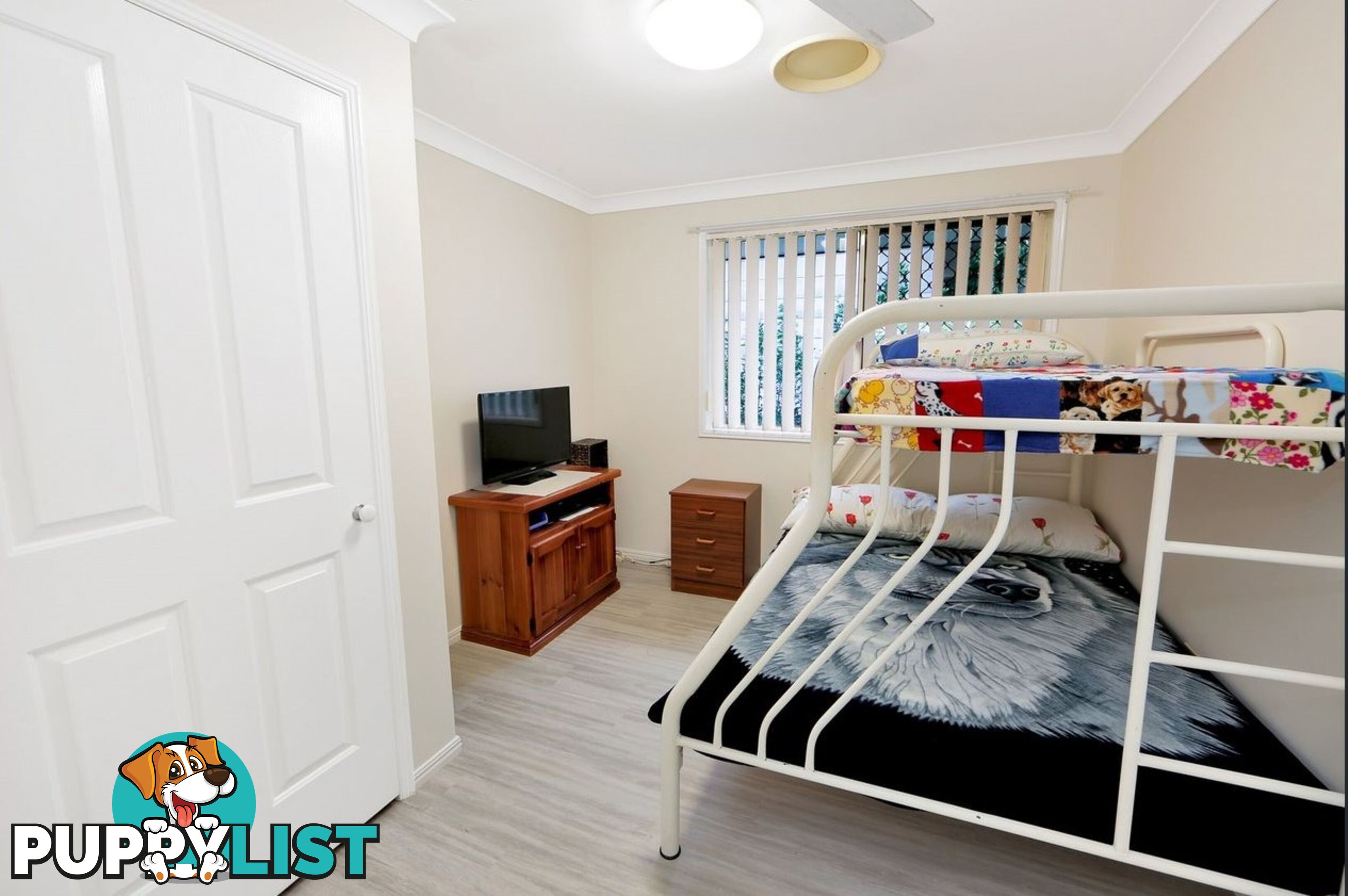 24 Bruce Street TORQUAY QLD 4655