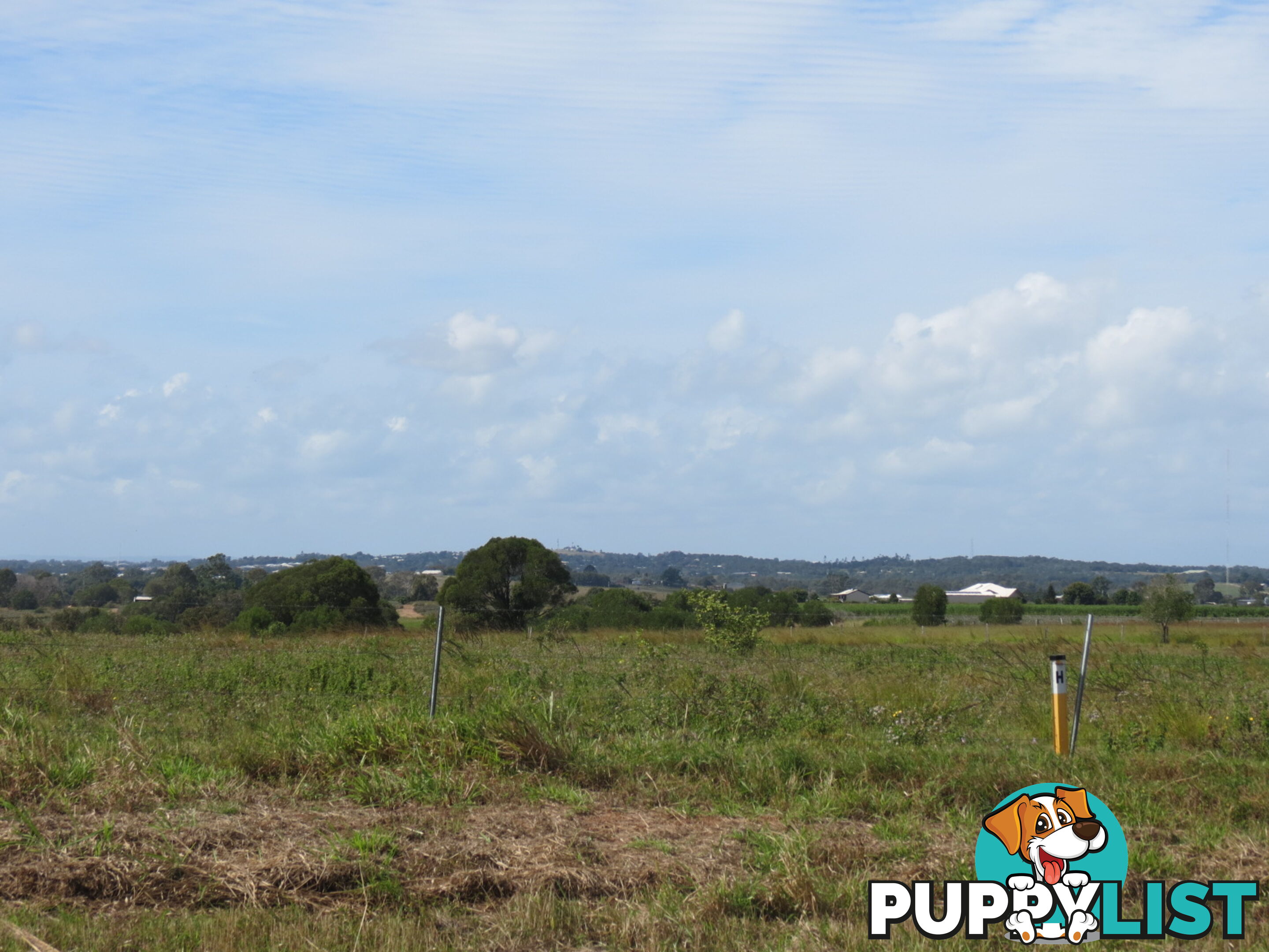 51 Carls Road DUNDOWRAN QLD 4655