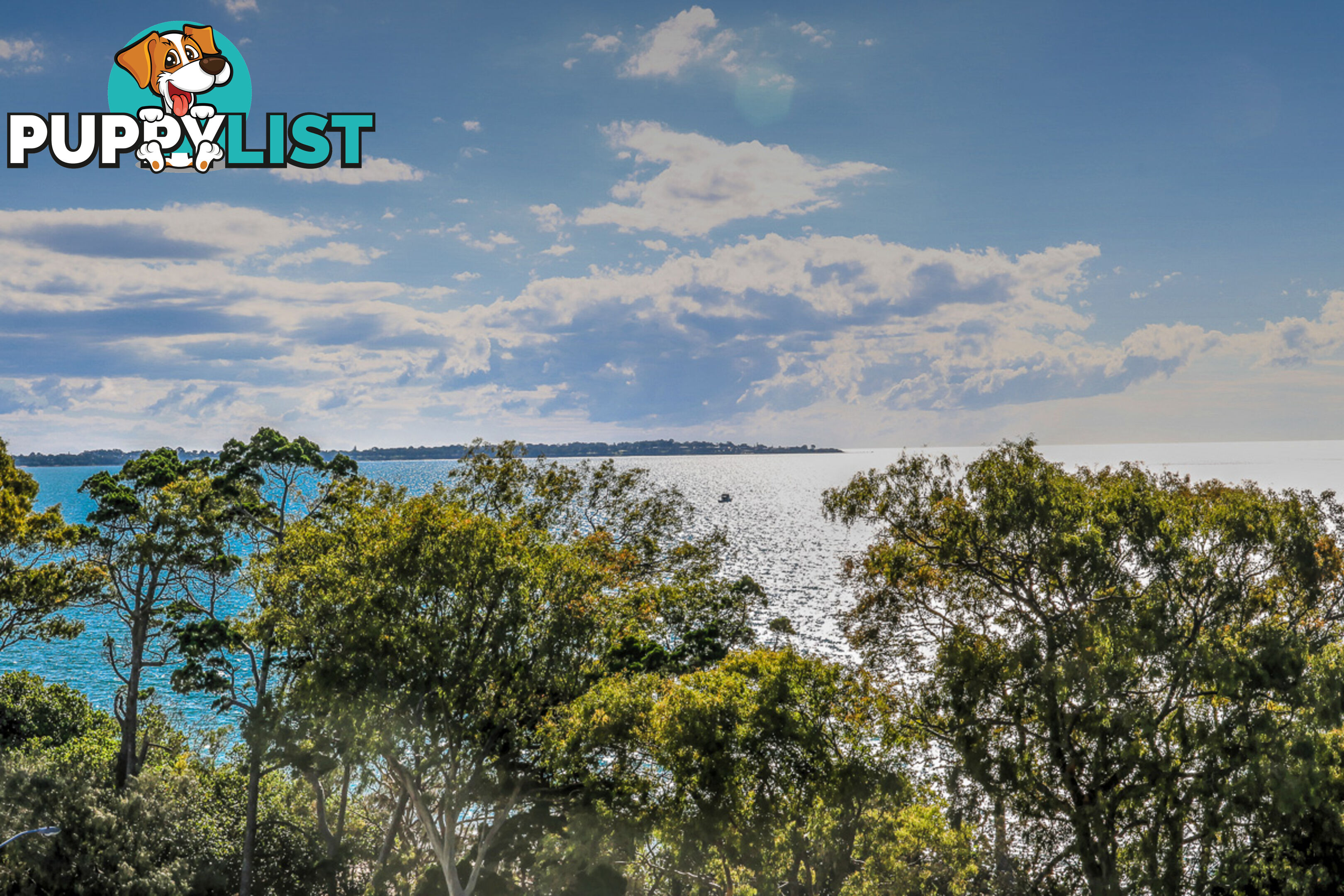 603/468 Esplanade TORQUAY QLD 4655
