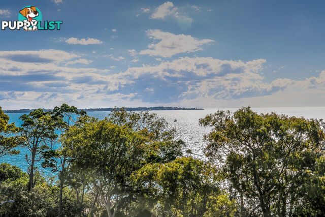 603/468 Esplanade TORQUAY QLD 4655