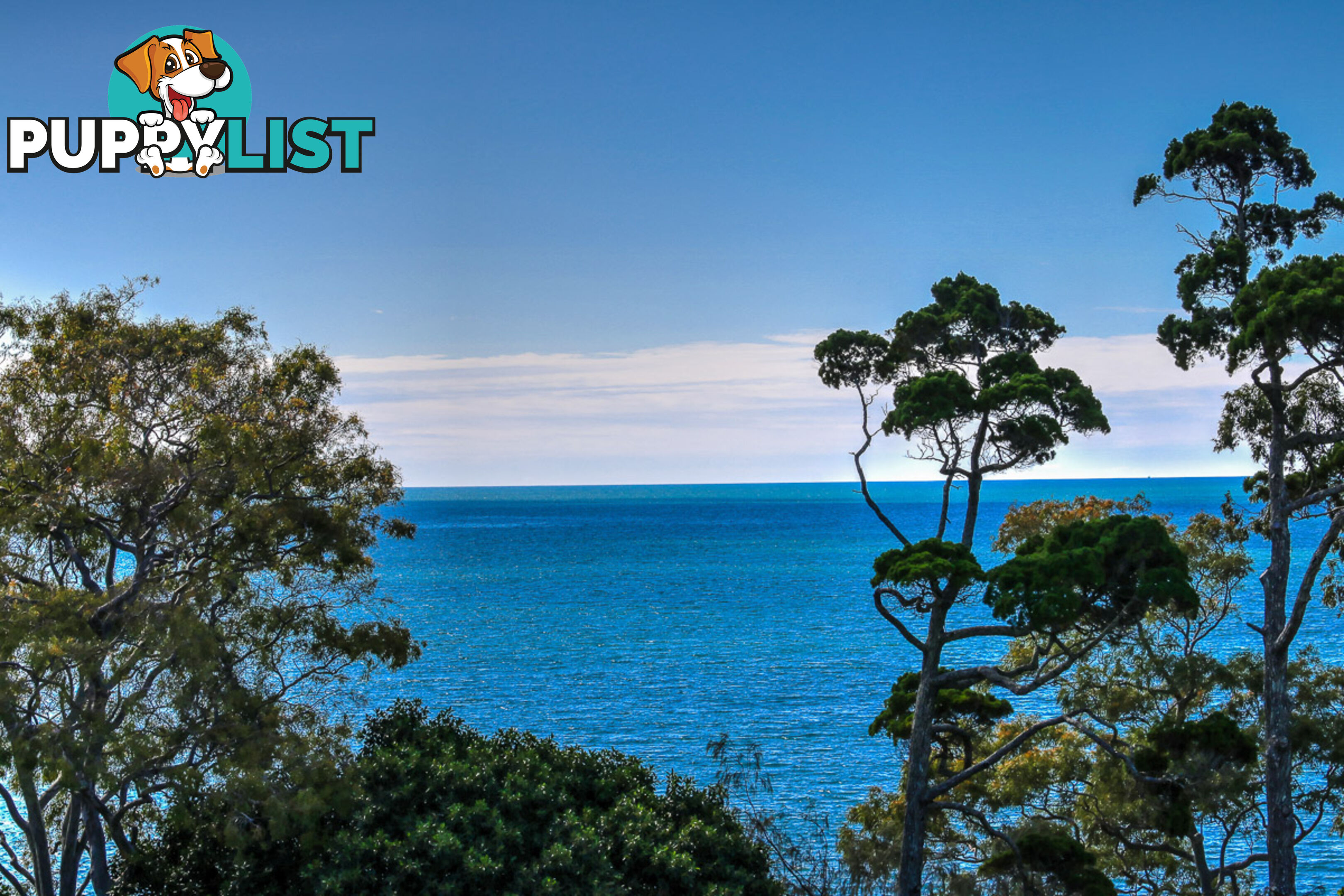 603/468 Esplanade TORQUAY QLD 4655