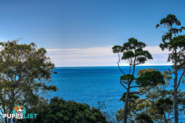 603/468 Esplanade TORQUAY QLD 4655
