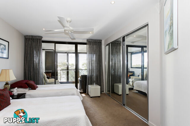 603/468 Esplanade TORQUAY QLD 4655