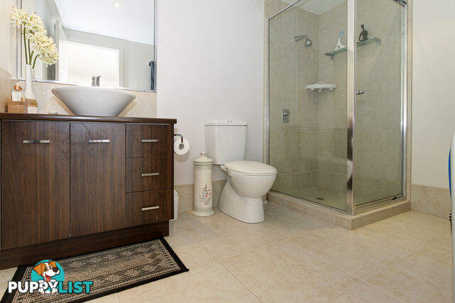 603/468 Esplanade TORQUAY QLD 4655
