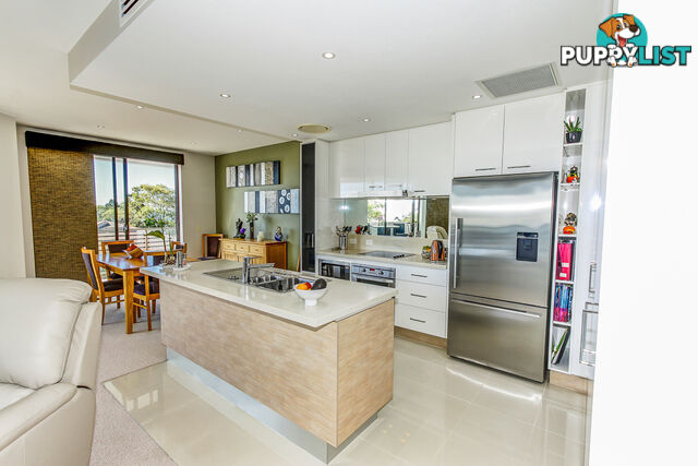 603/468 Esplanade TORQUAY QLD 4655