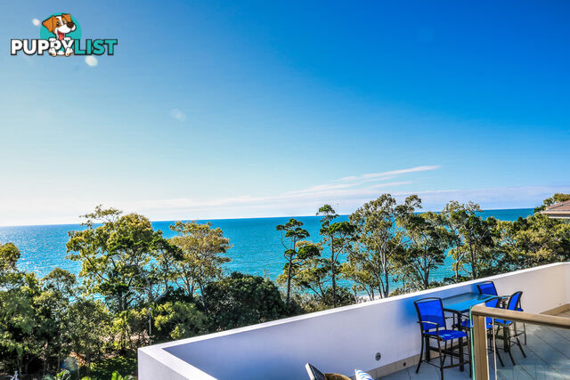 603/468 Esplanade TORQUAY QLD 4655