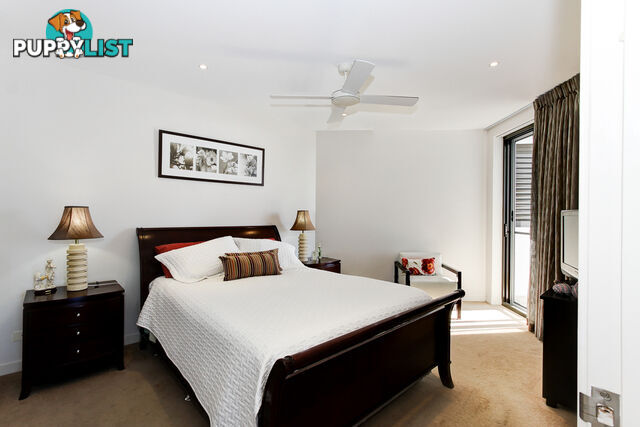603/468 Esplanade TORQUAY QLD 4655