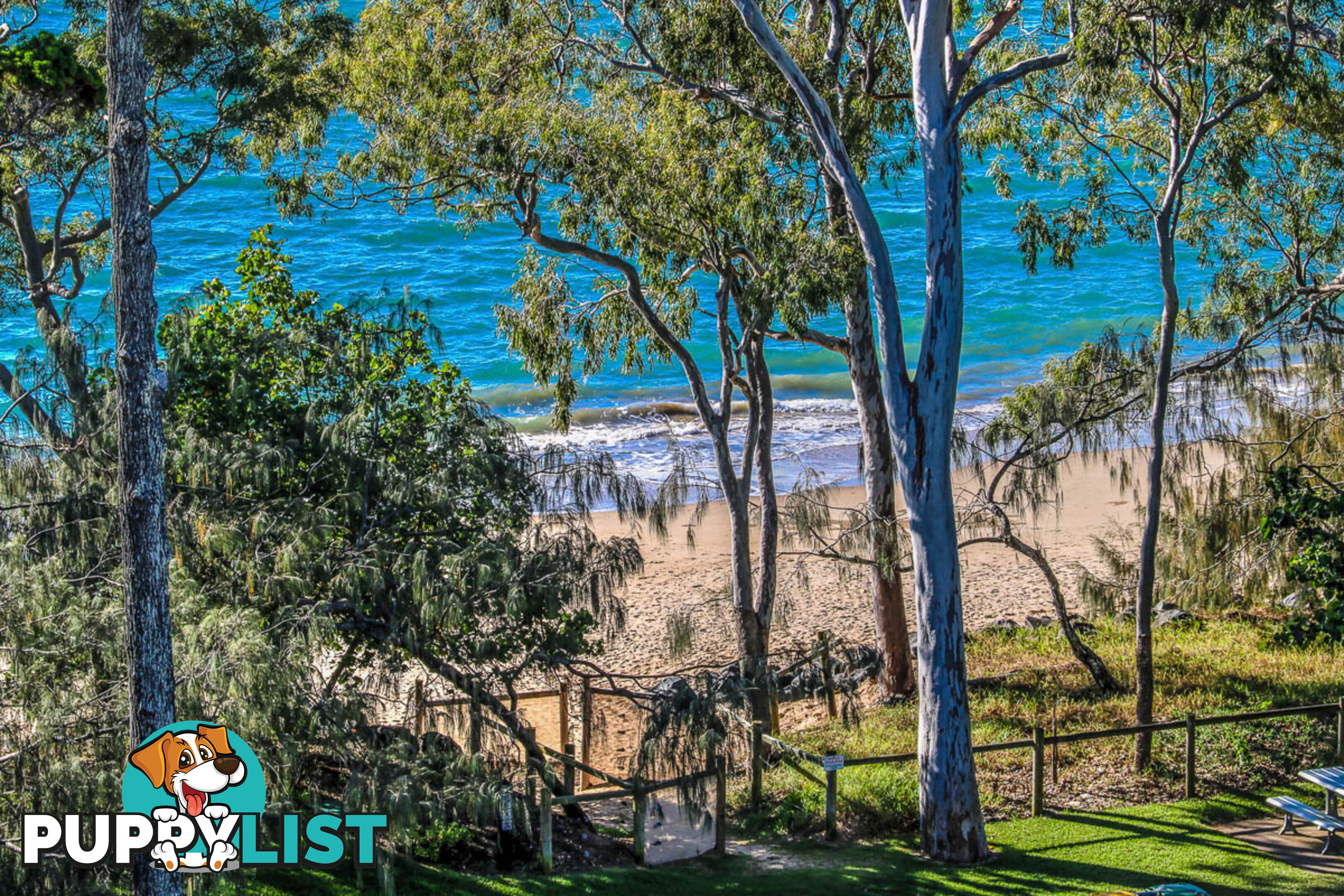 603/468 Esplanade TORQUAY QLD 4655