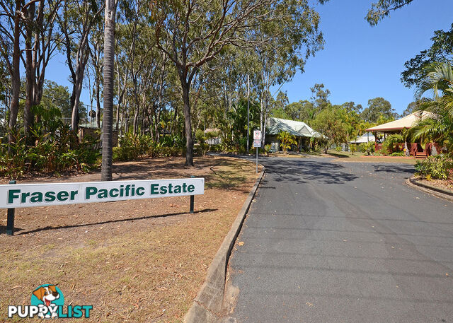 36/14 Exeter Street TORQUAY QLD 4655
