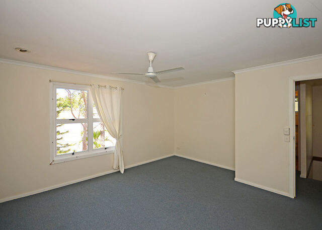 36/14 Exeter Street TORQUAY QLD 4655