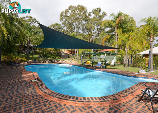 36/14 Exeter Street TORQUAY QLD 4655