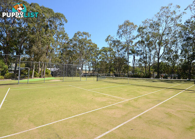 36/14 Exeter Street TORQUAY QLD 4655