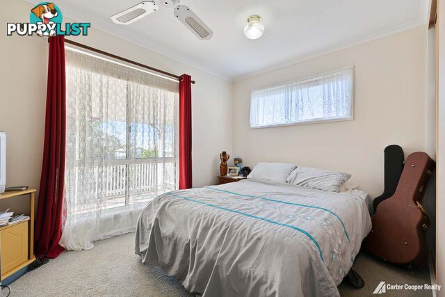 3 Morobe Street KAWUNGAN QLD 4655