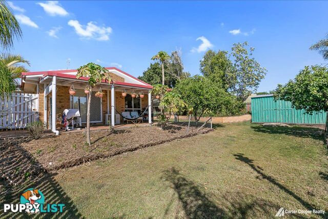 3 Morobe Street KAWUNGAN QLD 4655