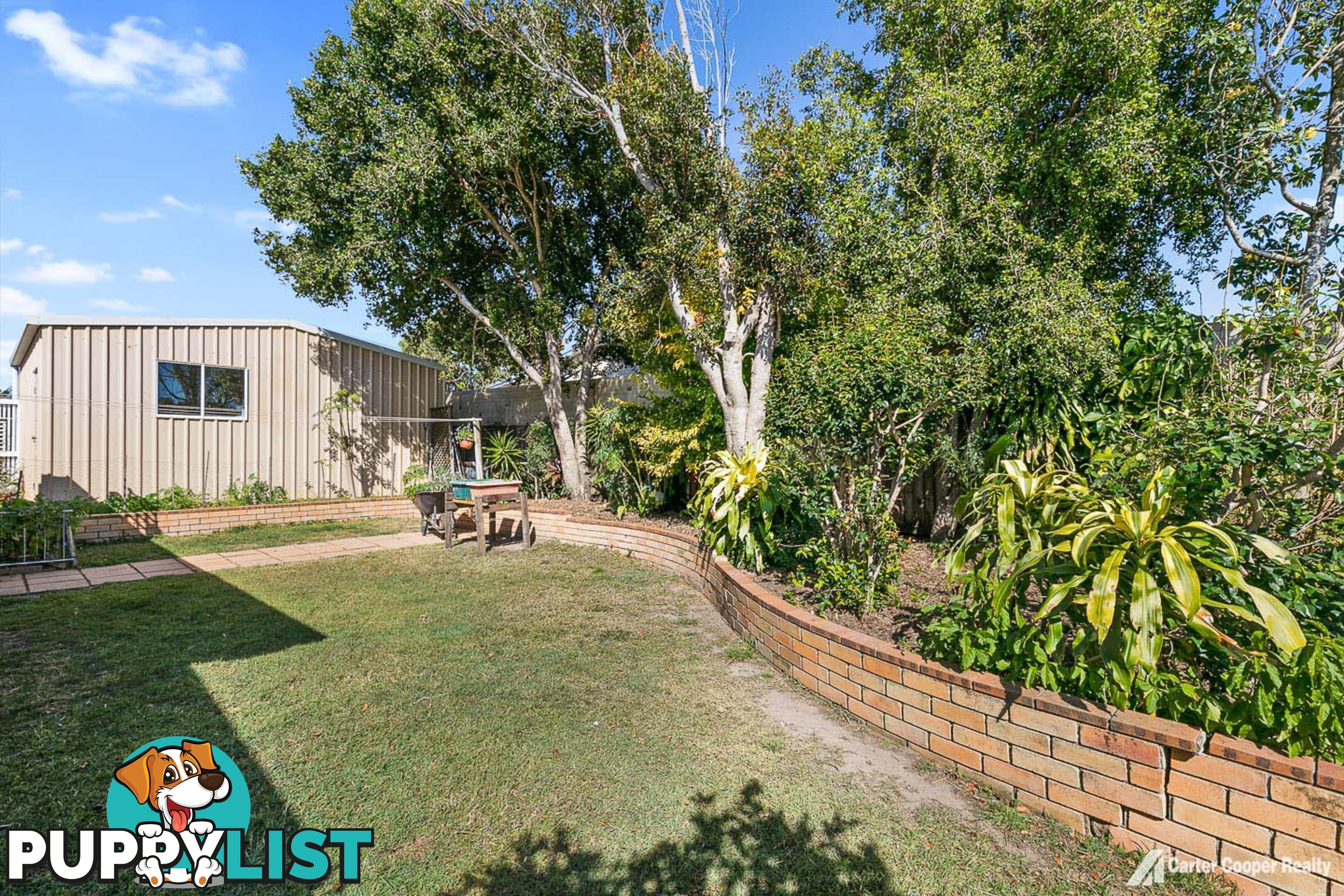 3 Morobe Street KAWUNGAN QLD 4655