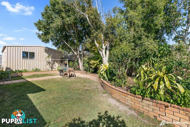 3 Morobe Street KAWUNGAN QLD 4655