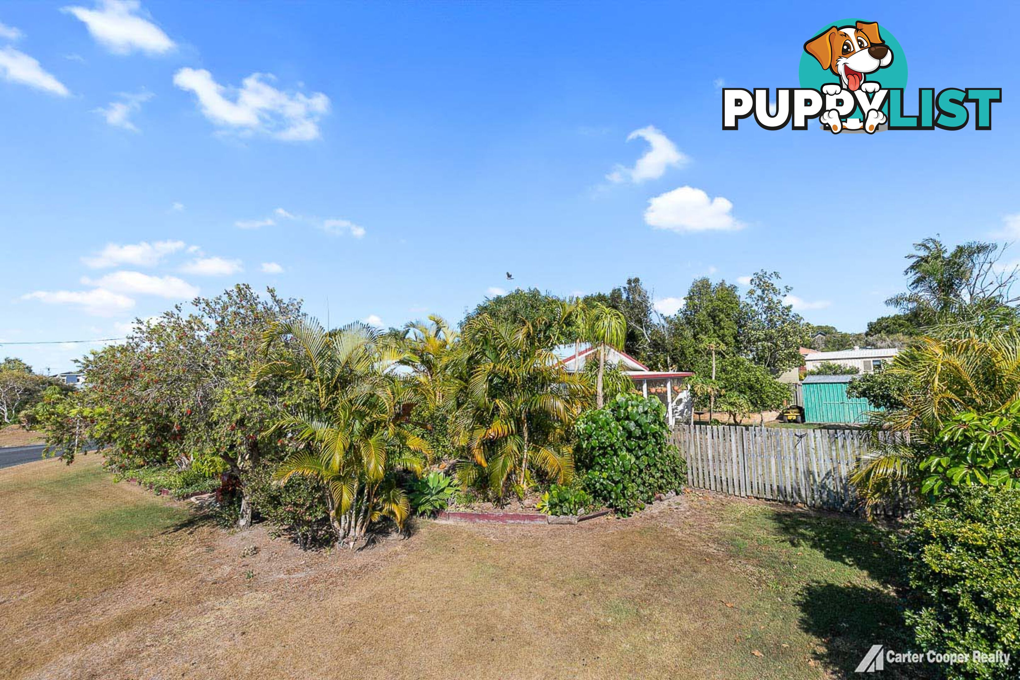 3 Morobe Street KAWUNGAN QLD 4655