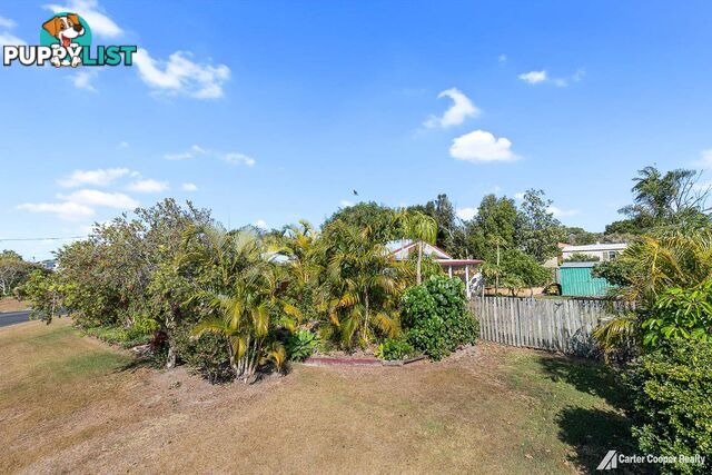 3 Morobe Street KAWUNGAN QLD 4655