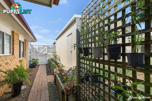 3 Morobe Street KAWUNGAN QLD 4655