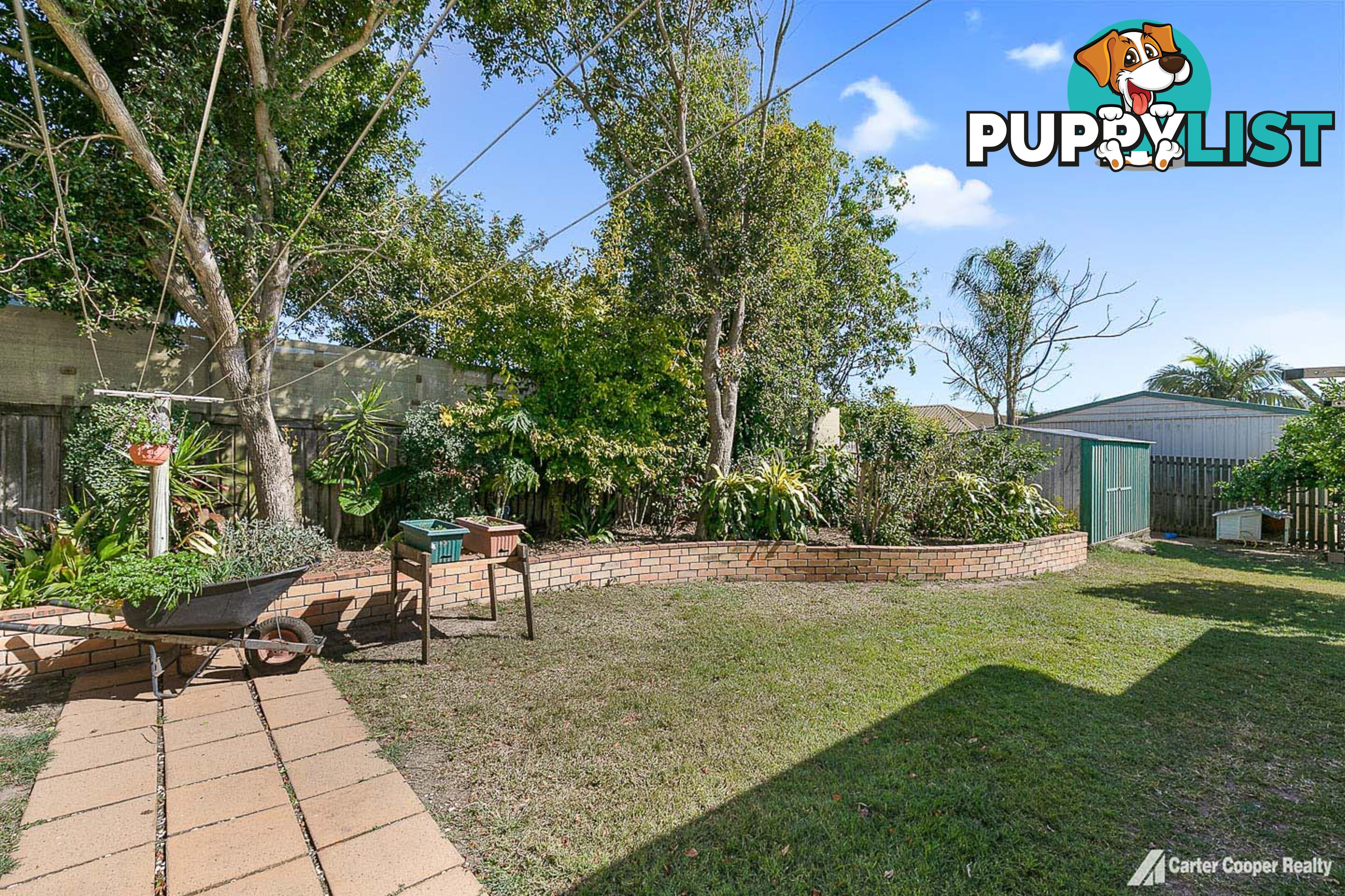 3 Morobe Street KAWUNGAN QLD 4655