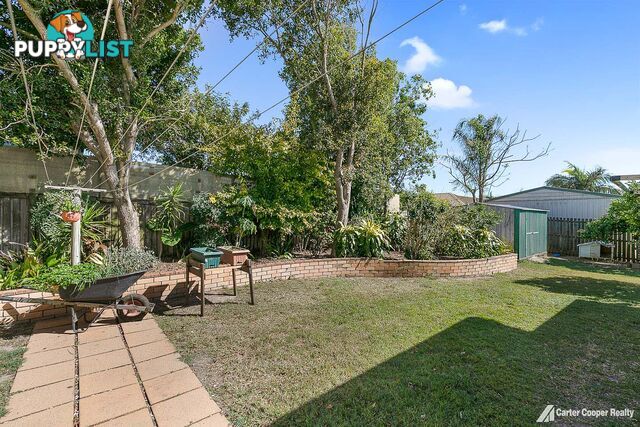 3 Morobe Street KAWUNGAN QLD 4655